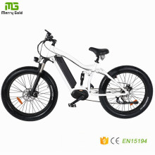 Middle Drive Motor 26 Inch E Bike